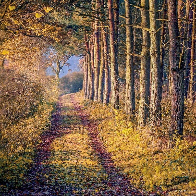 2021 Wall Calendar - Nottinghamshire, 12 x 12 Inch Monthly View, 16-Month, Scenic Britain Theme, Includes 180 Reminder Stickers