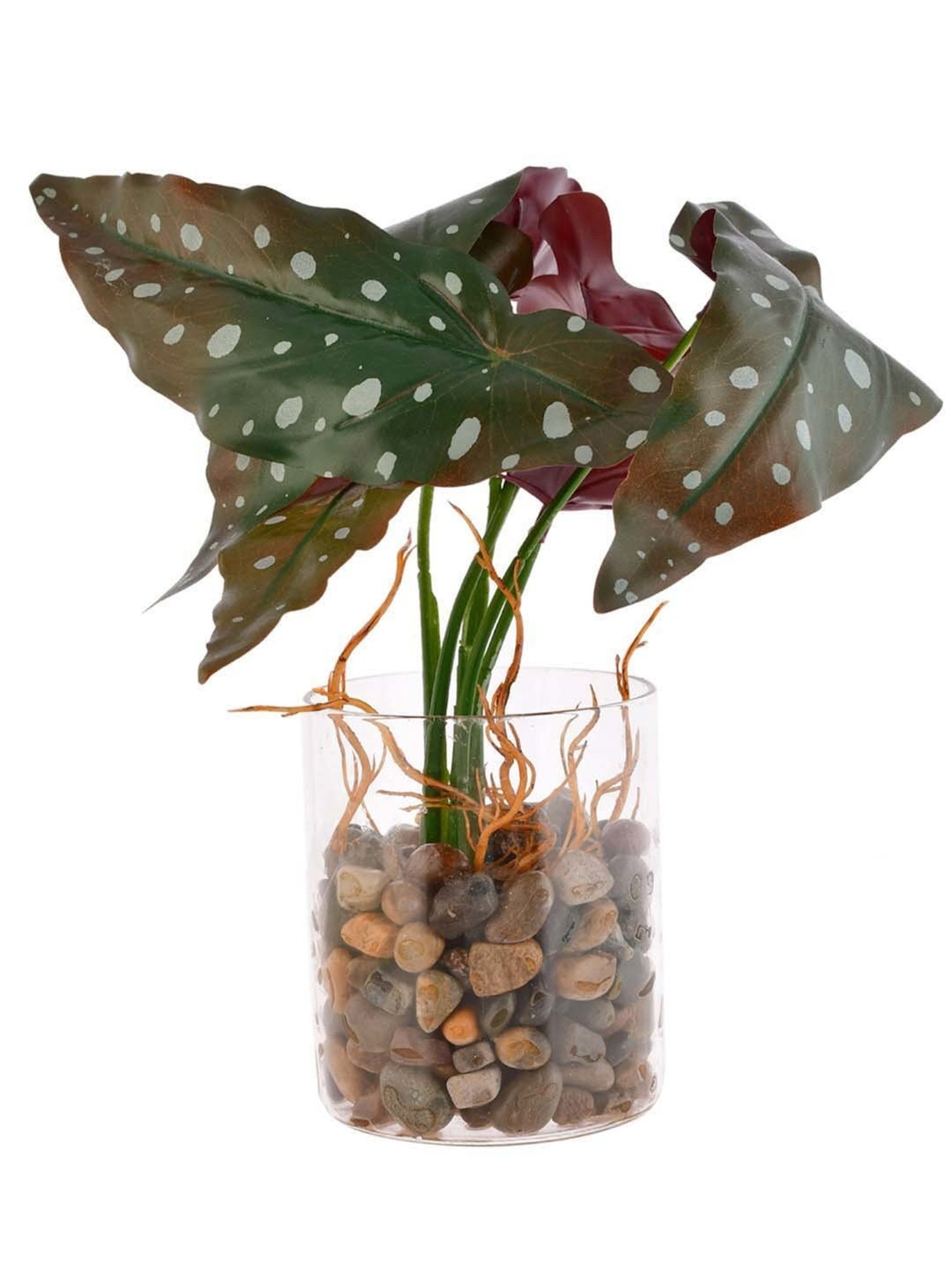 Tayhaa Green Ceramic Planter With Artificial Spotted Begonia Plant