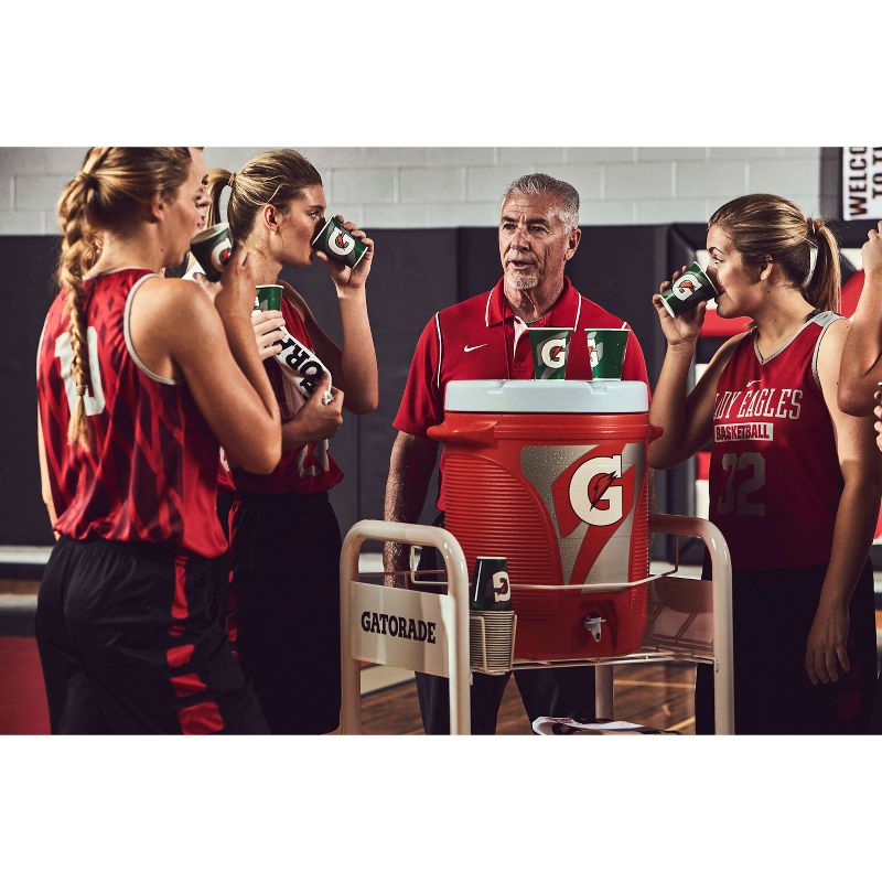 Gatorade Fruit Punch Sports Drink - 8pk/20 fl oz Bottles