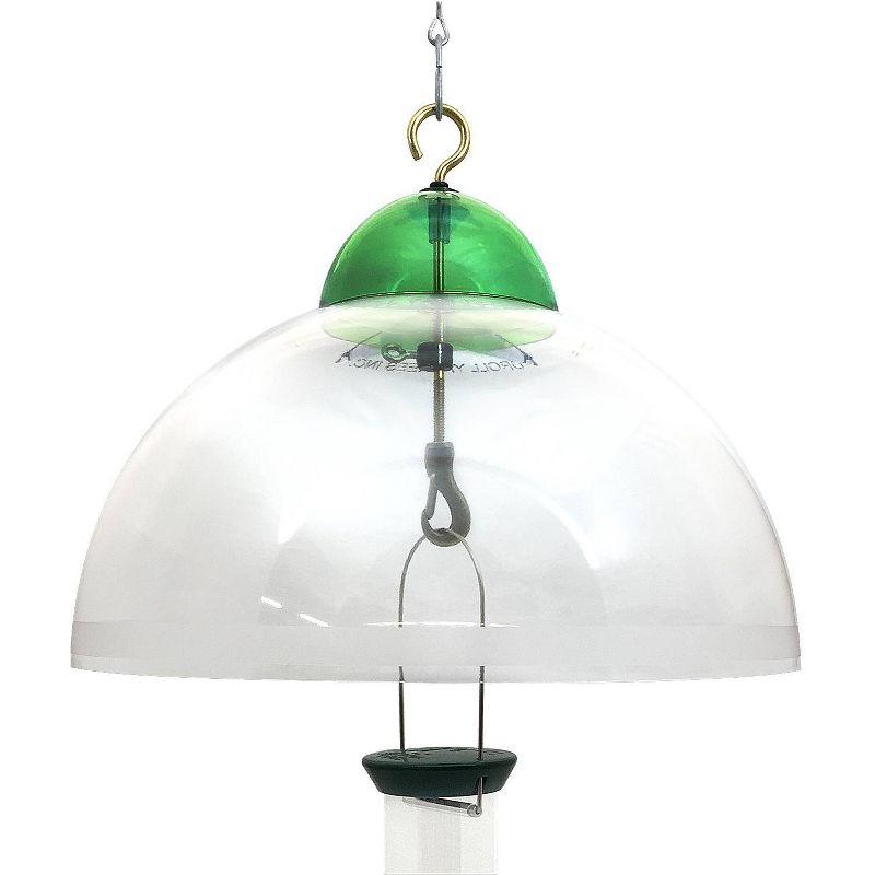 Droll Yankees 15" Squirrel and Weather Guard - Green