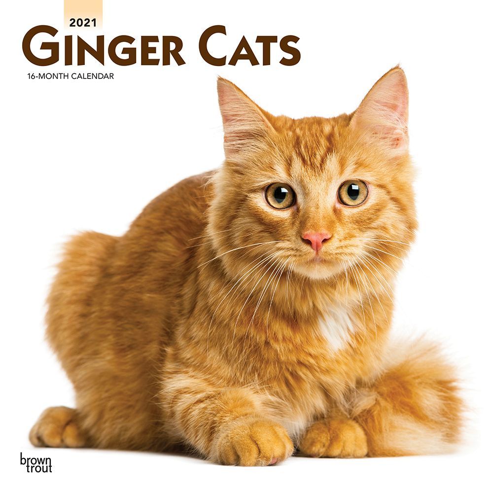 BrownTrout, 2021 Ginger Cats Wall Calendar
