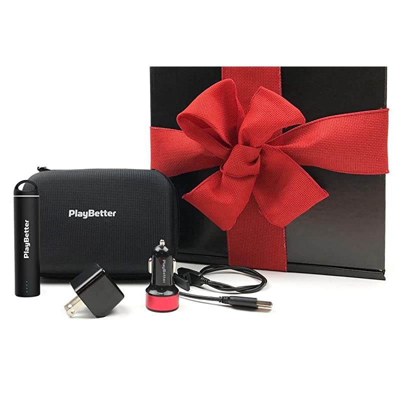 Garmin Fenix 6 Sapphire (Black with Red Nylon Band) Gift Box Bundle | +HD Screen Protectors, Extra Band,  Portable Charger, Adapters & Hard Case | Multisport Fitness Watch