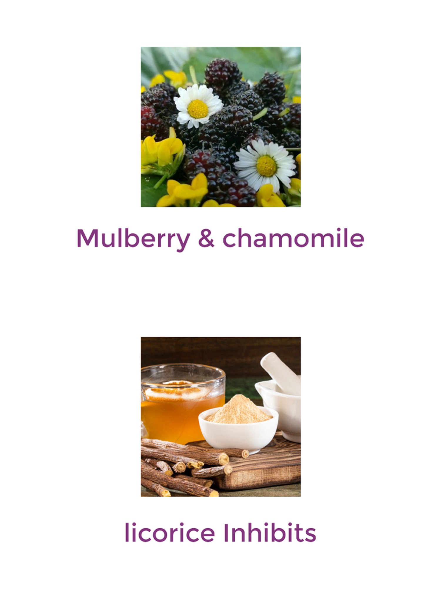 Vegetal Glossage Premium Complexion Cream - 25 gm