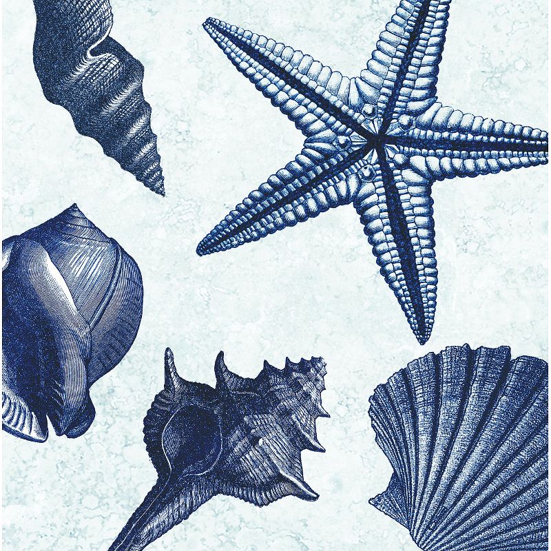 Thirstystone Shell Toss 4 Piece Occasions Coaster Set