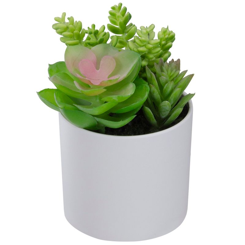Northlight 5.5" Mixed Artificial Succulent Arrangement in a White Pot