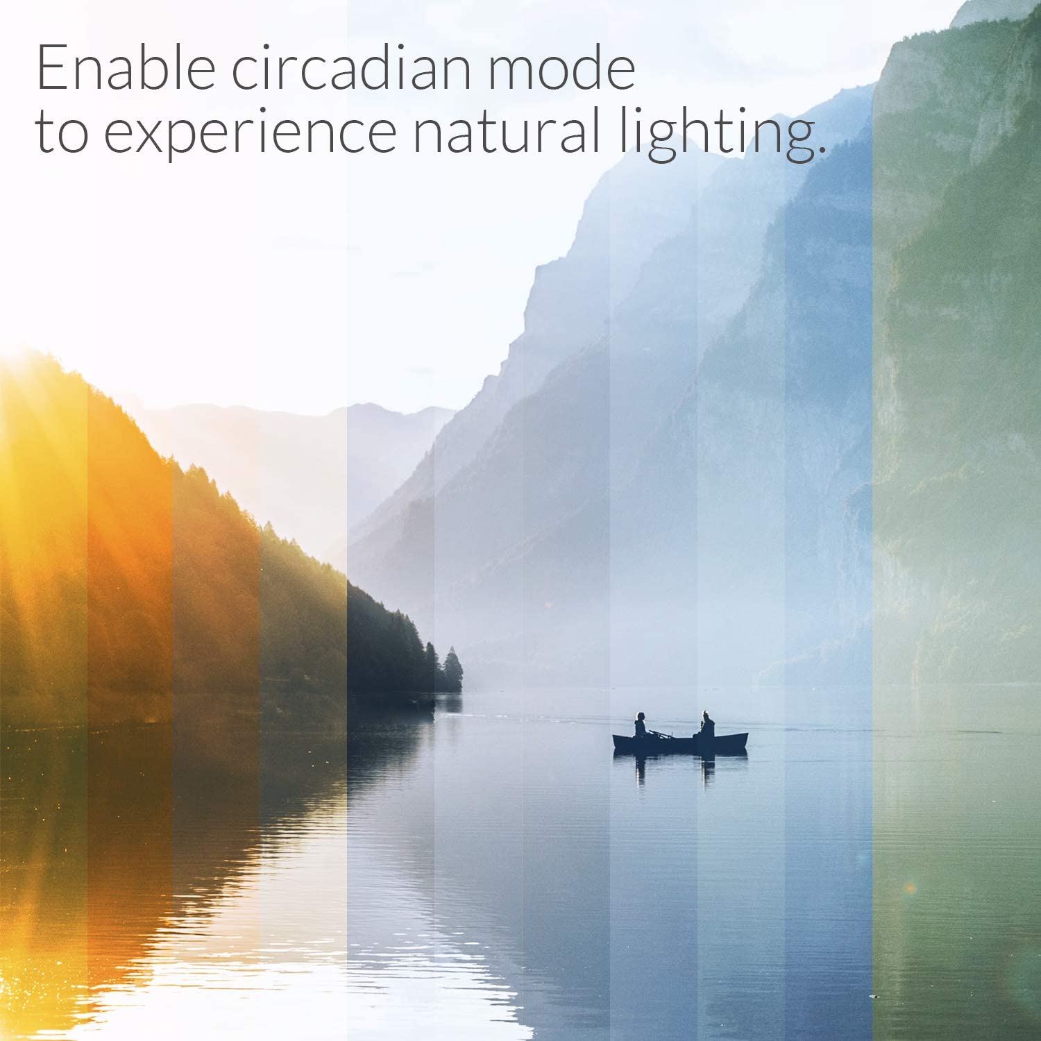 AduroSmart ERIA Colors + White Smart Light Bulb A19 (hub required) 16 Million Colors and Tunable White 2000-6500K Dimmable, works with Alexa/ Echo Plus/ Eria / Hue / Google Assistant