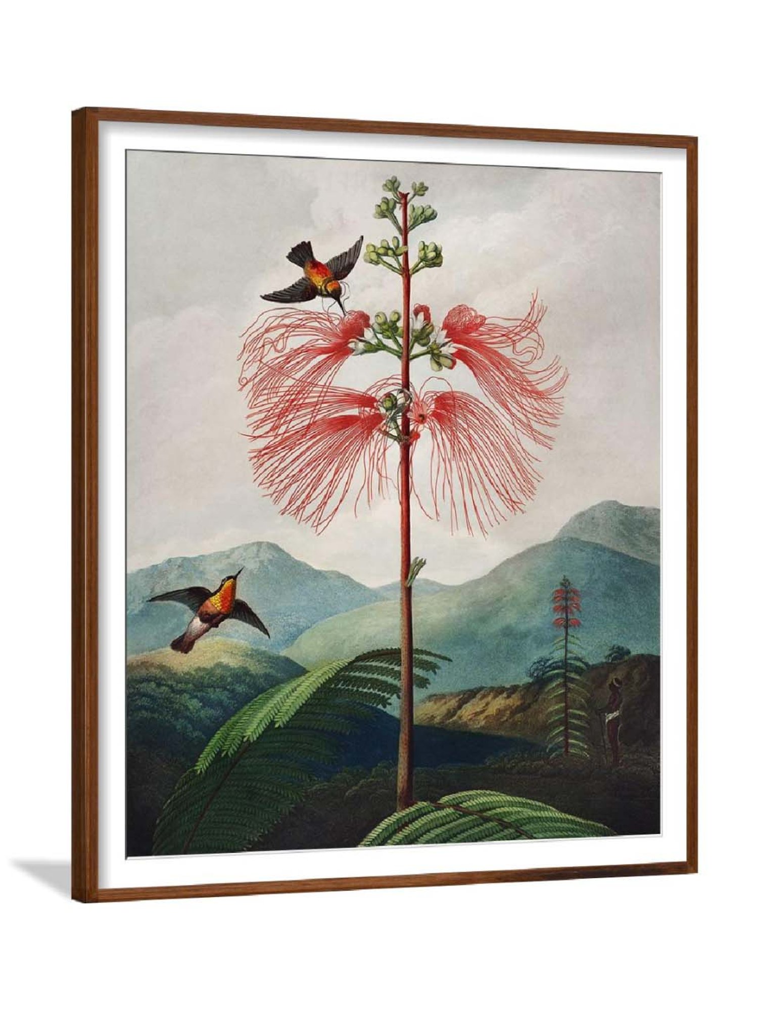 ARTE'VENUE Sacred Egyptian Bean Multicolor Paper Wall Arts - Set of 3 (13 X 16 inch Each)