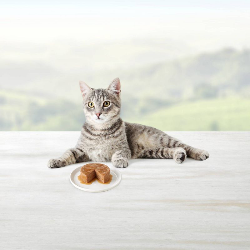 Blue Buffalo Healthy Gourmet Paté Premium Wet Cat Food Indoor Chicken Entrée - 5.5oz