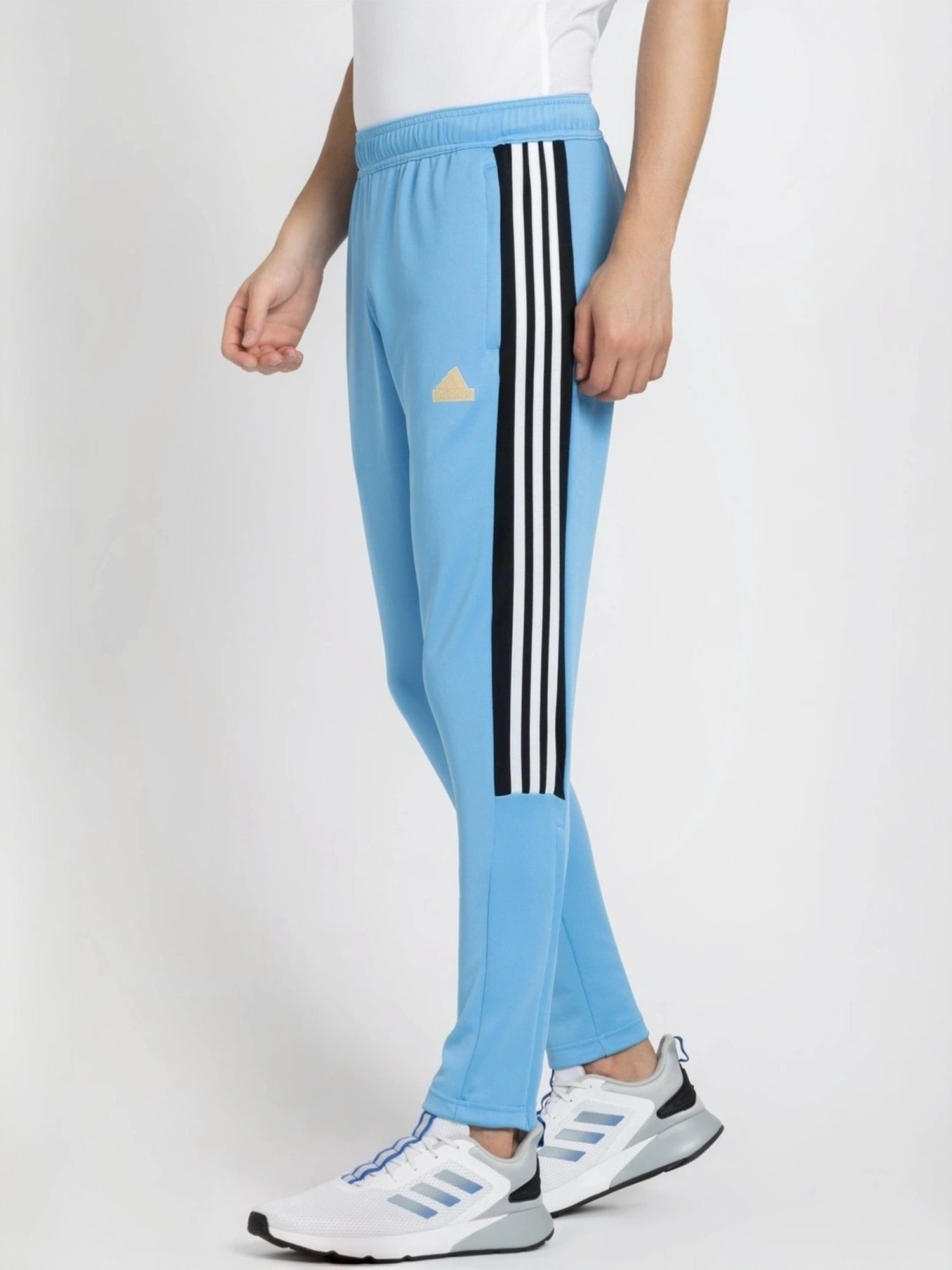 Basics Green Jogger Track Pant