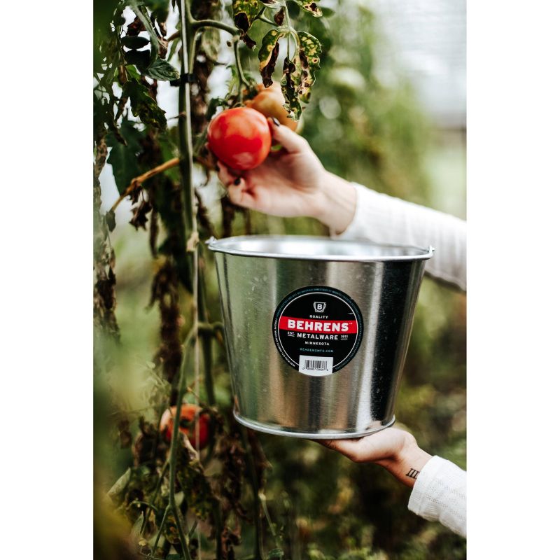 Behrens 5qt 3pk Galvanized Steel Pail Silver
