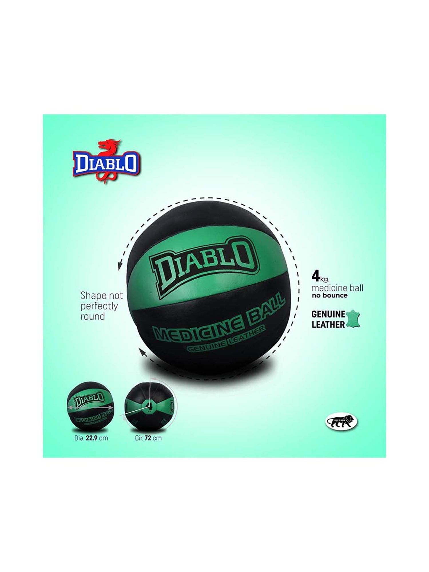 Diablo Black & Green Genuine Leather No Bounce Medicine Ball (4kg)