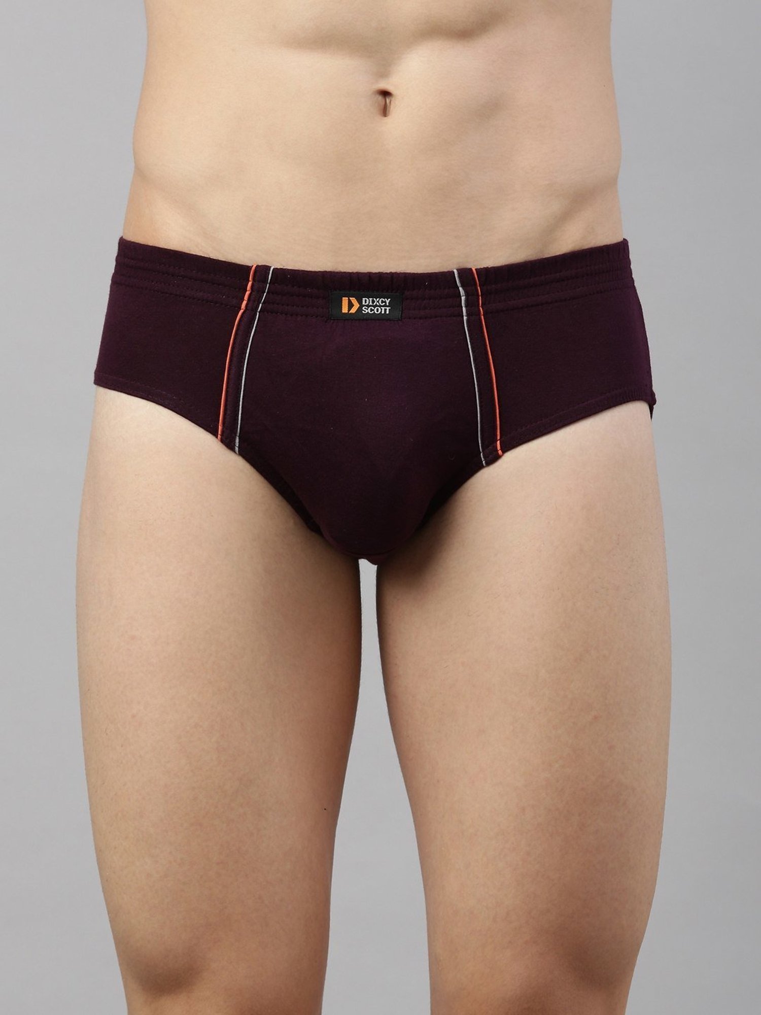 Dixcy Scott Originals Wine Cotton Regular Fit Brief