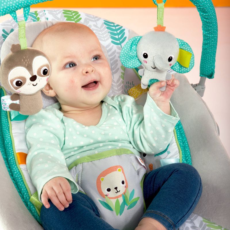​Fisher-Price Baby Bouncer