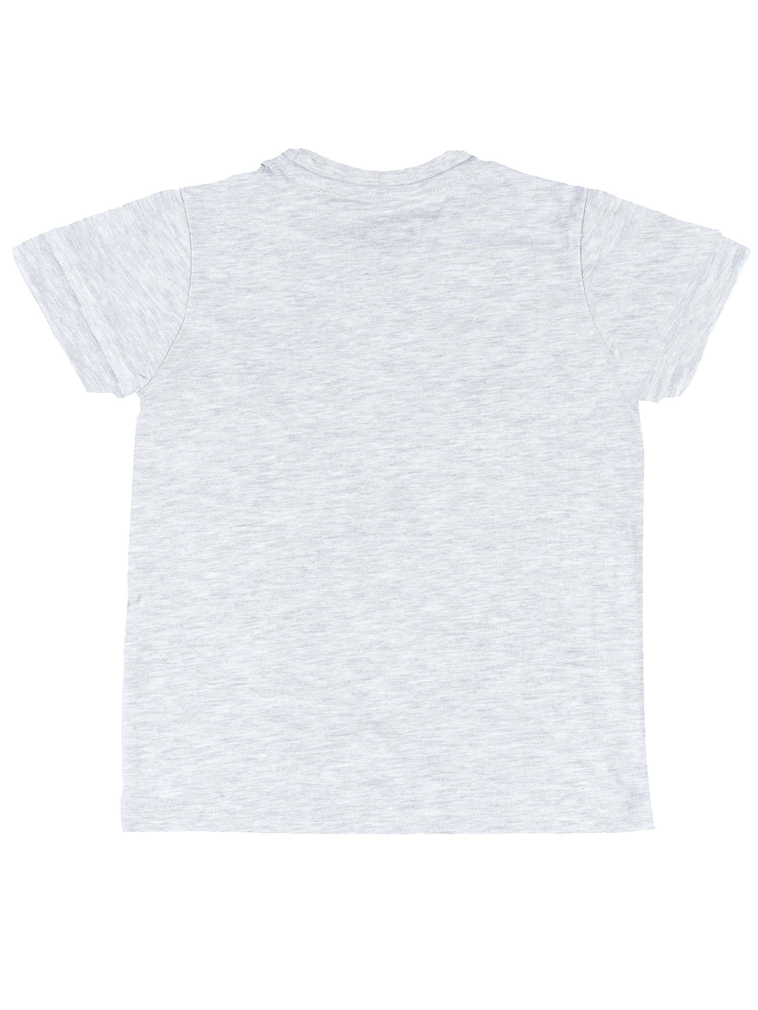 Dyca Kids Light Grey Graphic T-Shirt