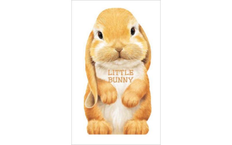 Little Bunny by Giovanni Caviezel (Board Book)