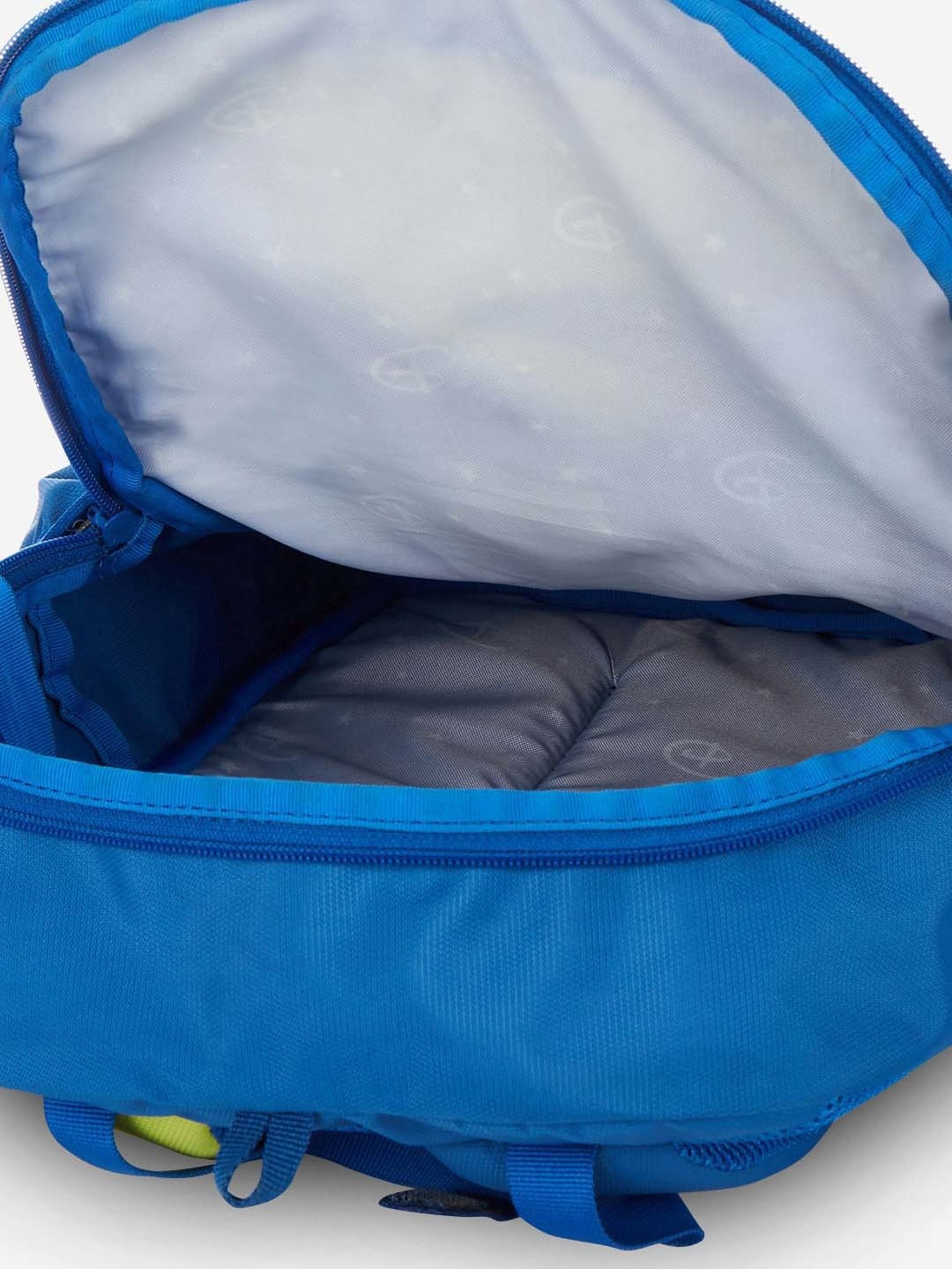 Wiki 20 Ltrs Blue Medium Backpack