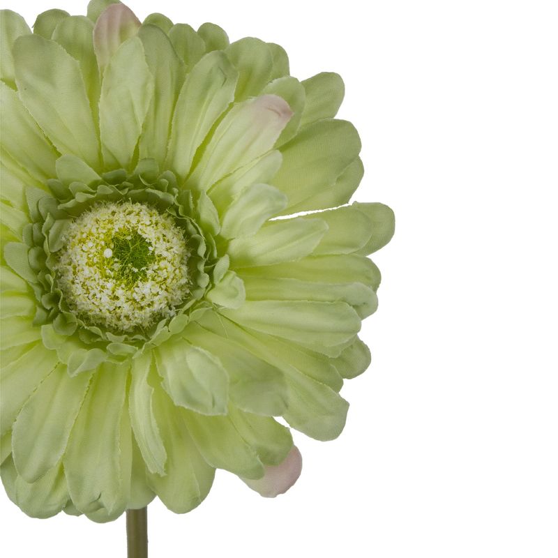 Darice 9" Light Green Gerbera Daisy Artificial Floral Pick