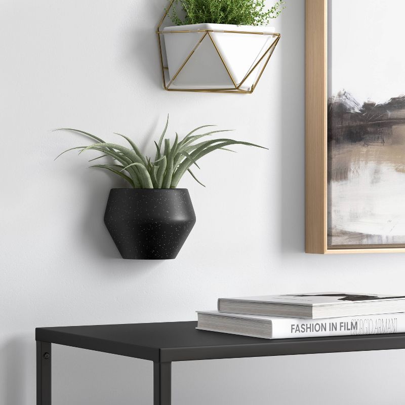 Large Hanging Succulents Wall Sculpture Black - Project 62™