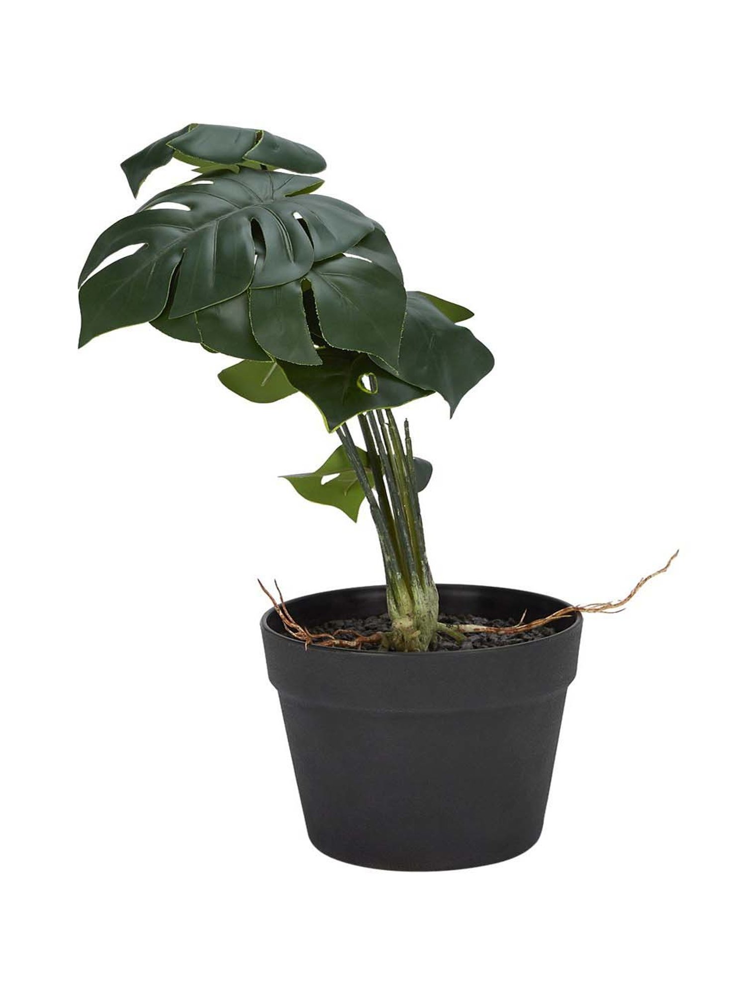 Living Scapes by Pantaloons Green Plastic Artificial Plant Vases