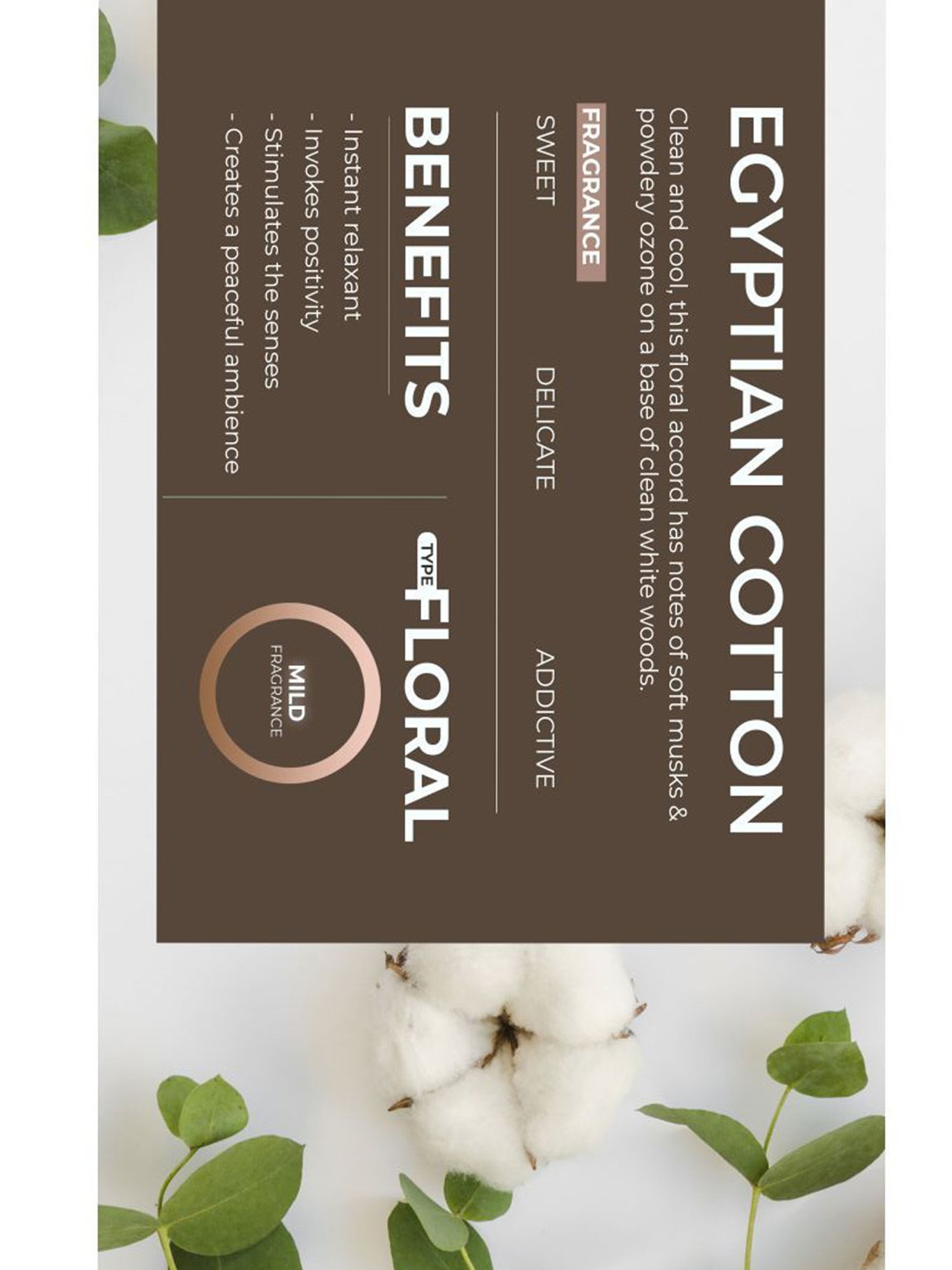 Rosemoore Reed Diffuser set with aroma oil & reed stick White tea - (200 ml)