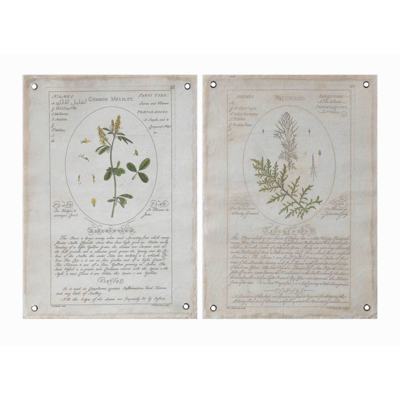 Set of 2 Styles Botanical Descriptions on Canvas with Grommets Decorative Wall Art - 3R Studios