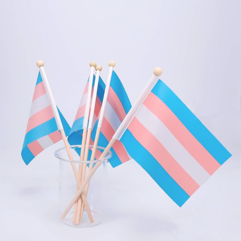 Large Flag with 5 Mini Flags Genderqueer - Bullseye's Playground™