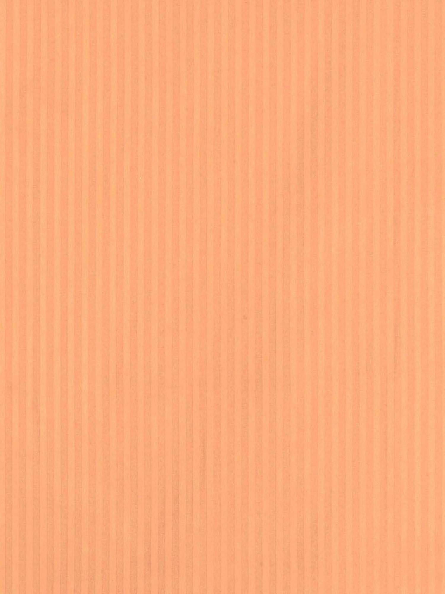 Mark Home Classic Peach Cotton 210 TC King Bedsheet with 2 Pillow Covers