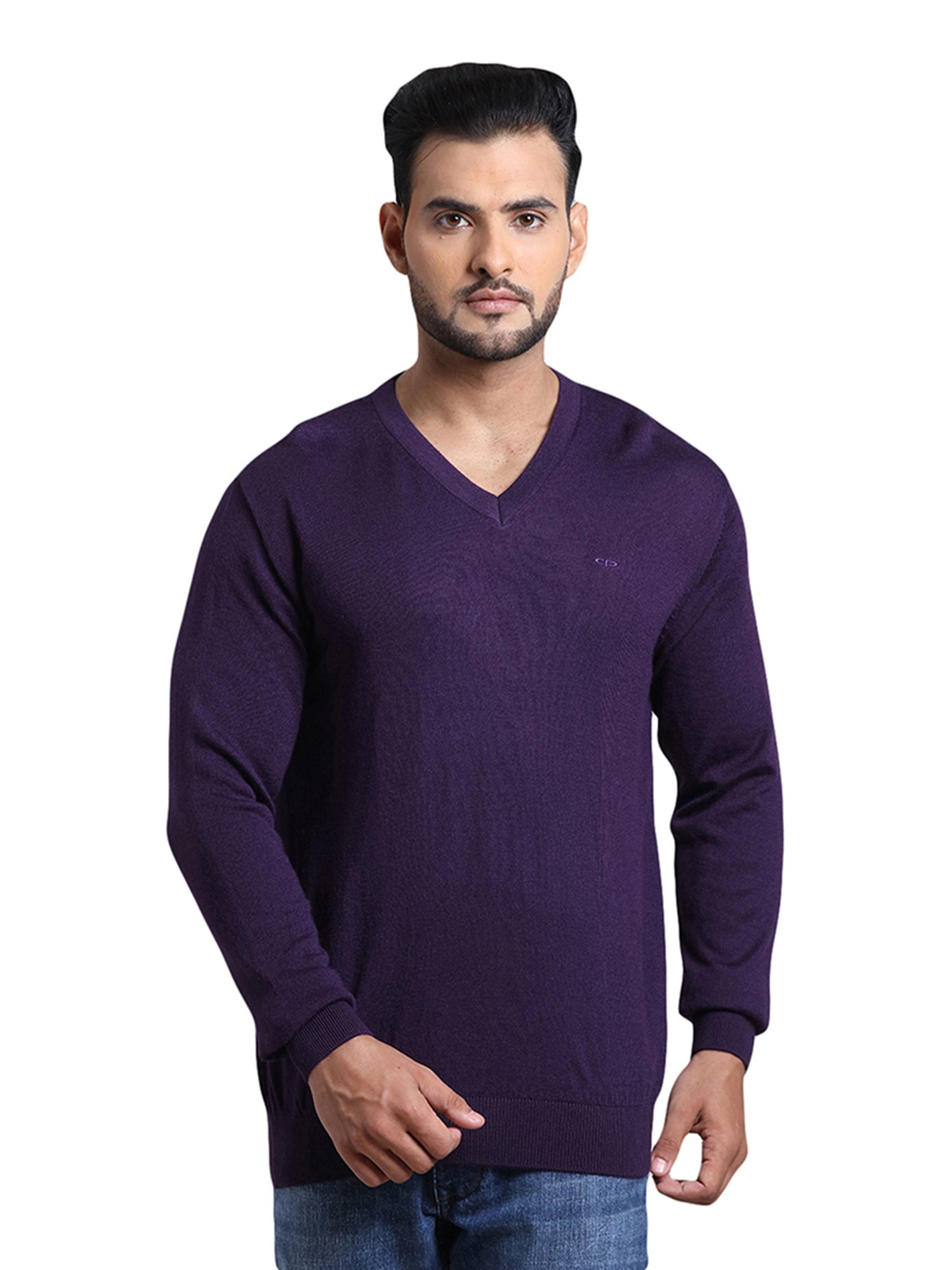 ColorPlus Purple V Neck Sweater
