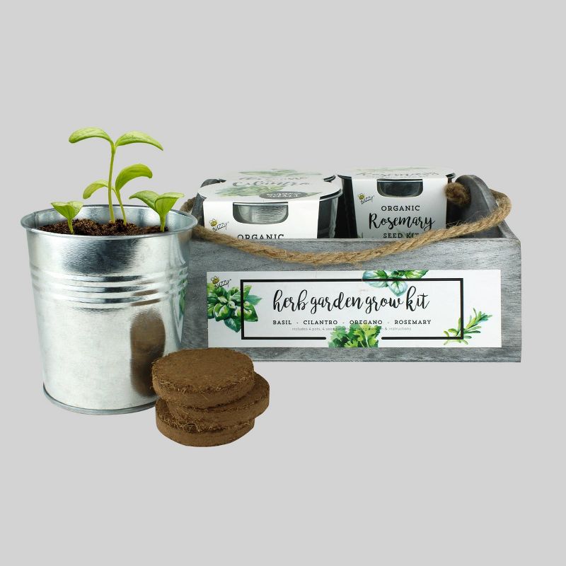 4 Organic Herb Garden Grow Kit - Buzzy Seeds