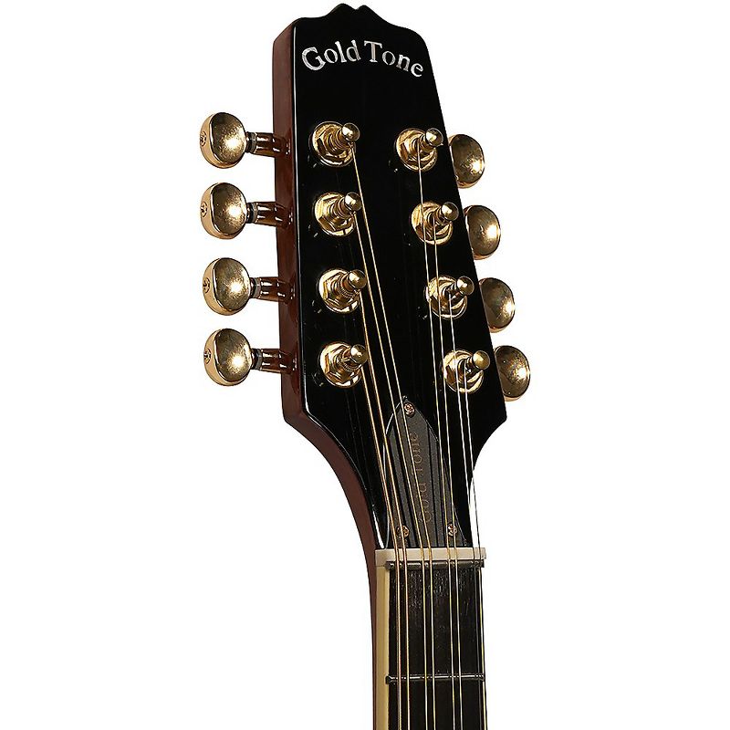 Gold Tone OM-800+ Octave Mandolin Natural