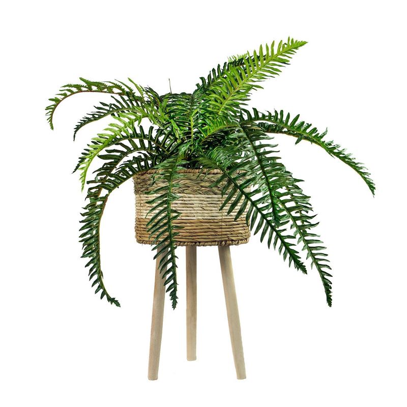38" x 34" Artificial River Fern Plant in Basket Stand - LCG Florals