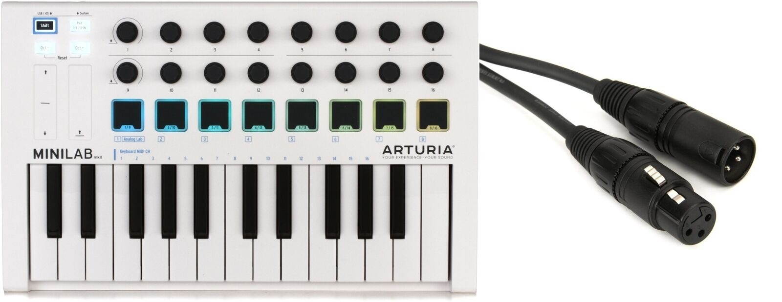 DAddario PW-CMIC-10 + Arturia 230501 Value Bundle