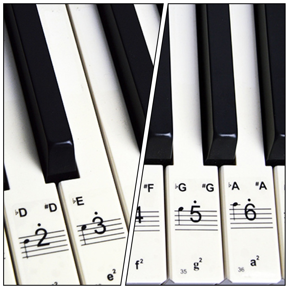 3 Sheets Chic Useful Durable Piano Stickers Piano Beginner Stickers Keyboards Sticker