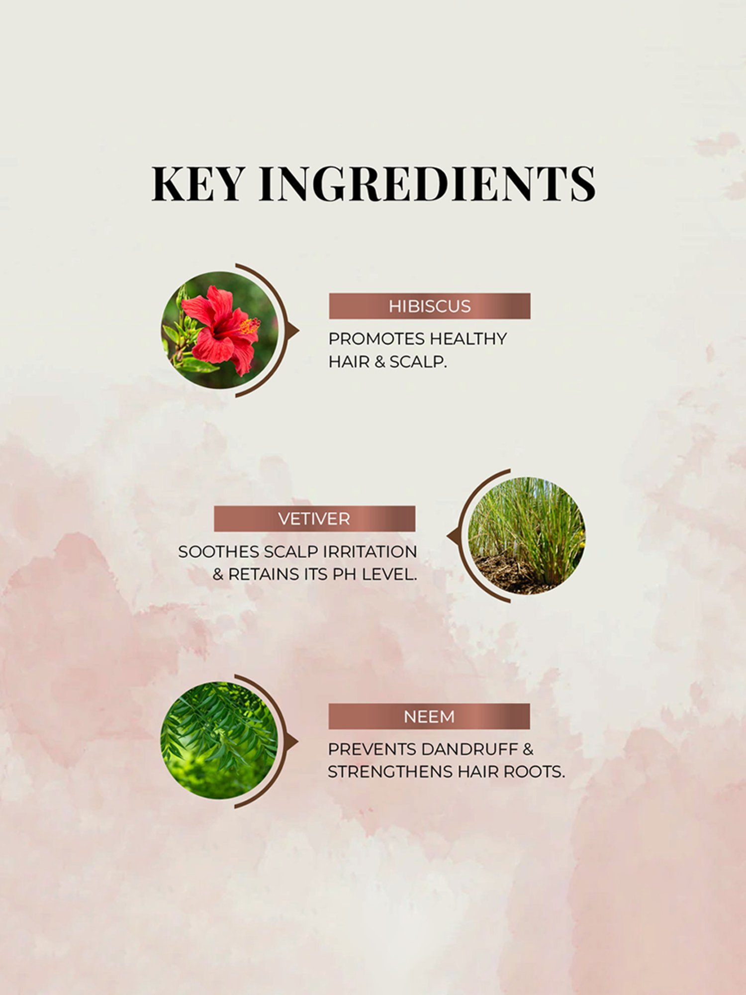 SEMI DI LINO SCALP RELIEF CALMING MICELLAR LOW SHAMPOO 33.8 OZ