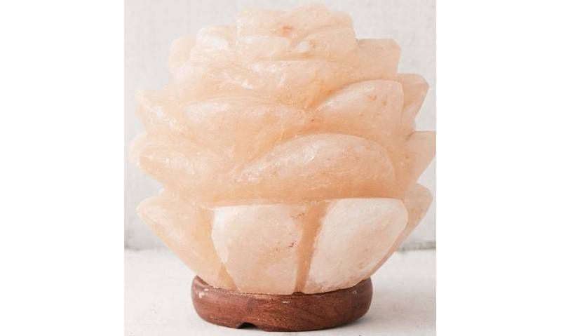 Succulent Himalayan Salt Novelty Table Lamp - Q&A Himalayan Salt
