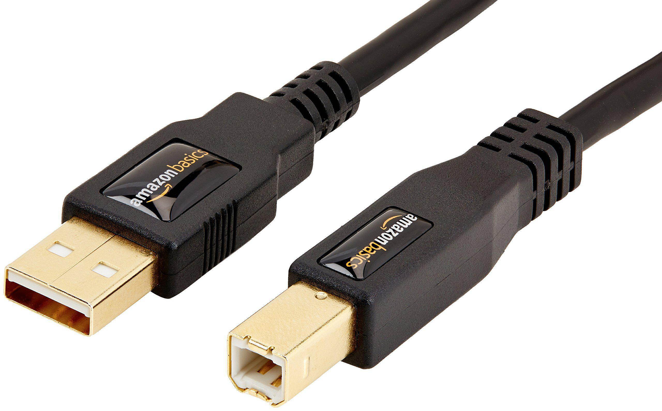 Basics USB 2.0 Cable - A-Male to B-Male - 16 Feet (4.8 Meters)