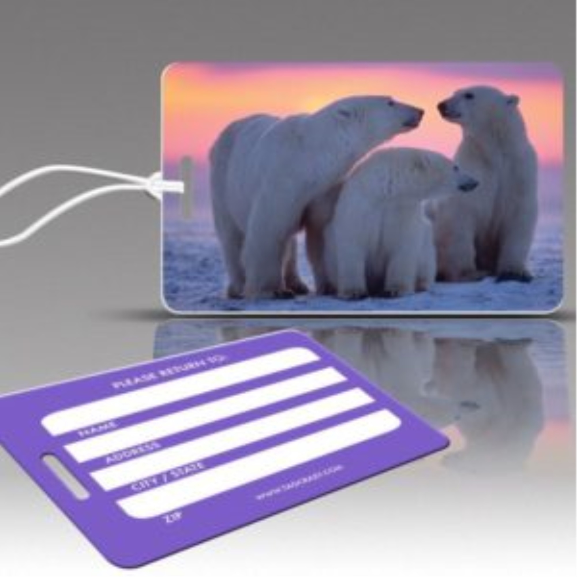The Wildlife Collection - Polar Bear Family