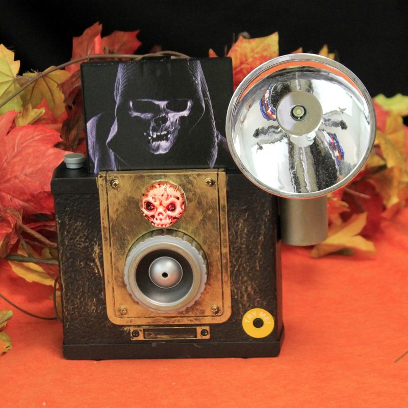 Halloween 9.25" Camera With Flash And Motion. Flash Muic Picture  -  Decorative Figurines
